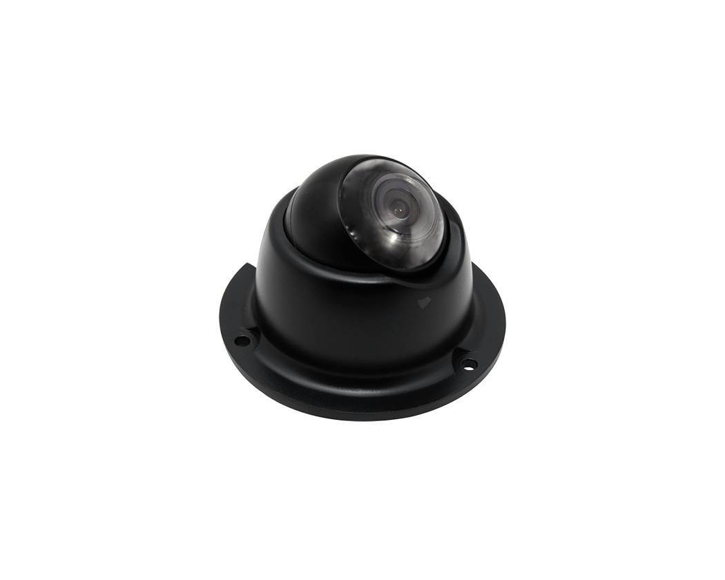 2Mega FHD Eyeball Dome Camera