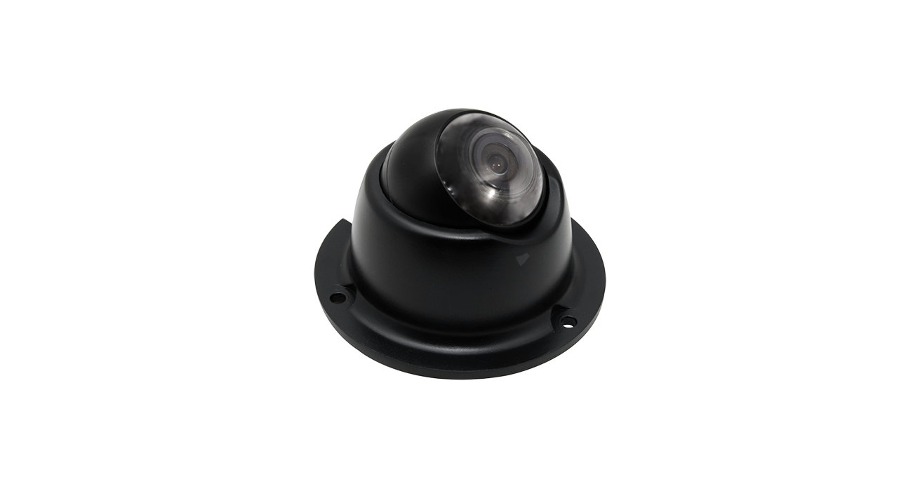 1Mega HD Eyeball Dome Camera
